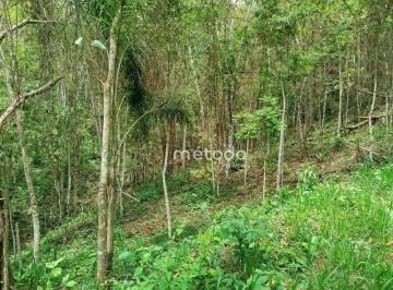 8f6ba9b8db81319e902d07462209362250d99fa4 · Sítio à venda, 20000 m² por R$ 200.000 - Bairro Freguesia da Escada - Guararema/SP