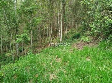 730b250eb971d216e0fad4c5c2c26894aa3383ac · Sítio à venda, 20000 m² por R$ 200.000 - Bairro Freguesia da Escada - Guararema/SP