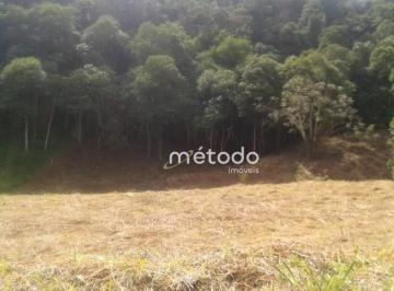 022c9298b6372278a86427d54a1956500b098cc3 · Sítio à venda, 20000 m² por R$ 300.000 - Bairro: Freguesia da Escada - Guararema/SP