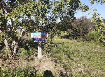 Foto 01 · Terreno, Caramuru, Arambare, RS