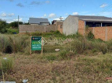 330687_i7O8sF22_33068760030090dee7c.jpg · Terreno no bairro Parque Florida