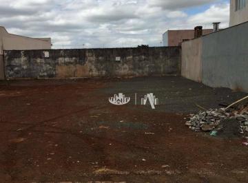 2401c3d54def6bb61a5fcc59c5a6dd7591443f36 · Terreno à venda, 250 m² por R$ 350.000,00 - Parque Leblon - Londrina/PR