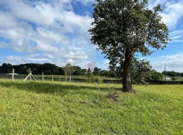Terreno · 3672m² · Terreno à venda - na Planta Laranjeiras