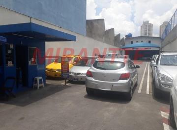 ca53dc0fd5d1b439ab4244cf46dc8726.jpg · Terreno