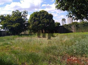 57b8c30bcd1667071c91b44fed3dd1a833b3f04d · Terreno à venda, 6000 m² por R$ 9.000.000,00 - Igapó - Londrina/PR