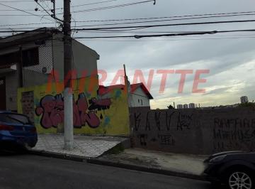 db85aec37088c53d1e71eb6d5b32a2fb.jpg · Terreno