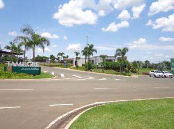 Foto 31 · Terreno, Chácara São José, Jaguariúna, SP
