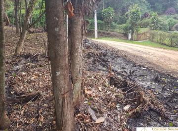Foto 01 · Terreno semi plano em Teresópolis Granja Mafra