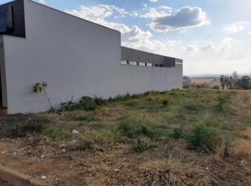Foto 01 · TERRENO BRODOSWKI