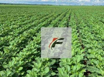a8e88660976aa39f3b474b614d7ddaedb9f718c5 · Fazenda com 2 dormitórios à venda, 1185800 m² por R$ 13.000.000,00 - Zona Rural - Lapa/PR