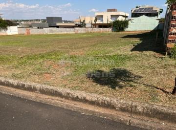 sao-jose-do-rio-preto-terreno-condominio-parque-residencial-buona-vita-17-11-2022_10-57-25-0.jpg · Terreno Buona Vita