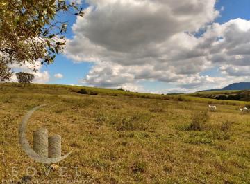 202505091011307508.jpg · Sítio para Venda em Ipeúna, zona rural, 2 dormitórios, 1 banheiro, 2 vagas