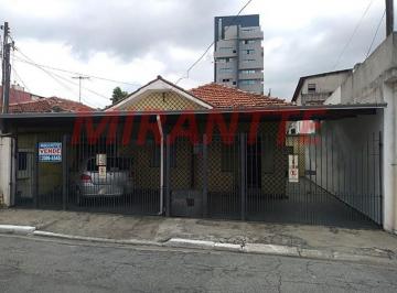 294bb1e3840697370c4cb60029fef169.jpg · Terreno