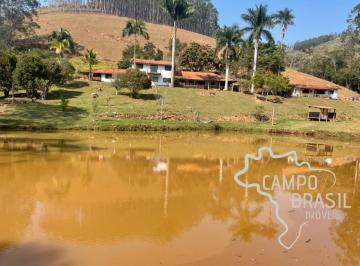 Foto 29 · Linda fazenda de 86 alqueires em produção! Com 40 aq de Eucalipto!