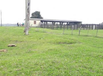 Rural , Gravatá · Área à venda com 17.5 Hectares em Mandacaru/PE!