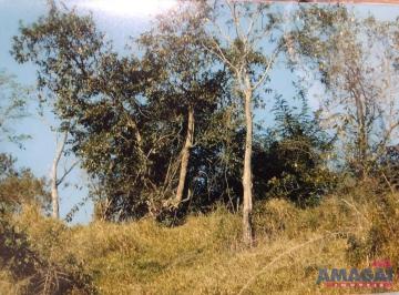 123978_i8fdZ0V_1239786050b5b98d073.jpg · Terreno para Chácara em Estância Porto Velho