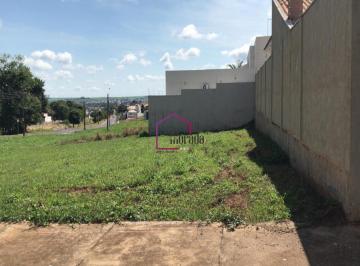 Foto 01 · Terreno, Parque Residencial Agudo Romão, Catanduva, SP