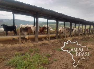 Foto 06 · Fazenda, Centro, Tremembé, SP