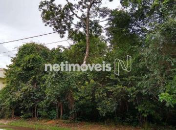 19f1b350-0-3ce009f3-1a81-4e60-9841-dcd538d9be13.jpg · Residencial Santa Mônica