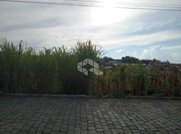 138005_i6X0u1RzMTl1h4CPQJ8_1380056054ef30b81d1.jpg · Terreno em Pinto Bandeira