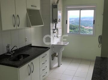 0 · apartamento para aluguel em Vila Nova