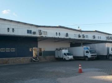 20171120124437439.jpg · Galpão para Locação em Jaboatão dos Guararapes, Prazeres, 1 dormitório, 3 banheiros, 20 vagas