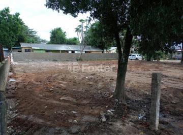 Foto Terreno Elisangela 01.jpeg · Terreno, 600 m², em Lami