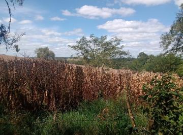 Foto 01 · Oportunidade única: Sitio à venda em Angatuba-SP, Zona Rural, 1 quarto, 1 banheiro, 205.700,00 m² de