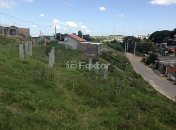 E277ADA0-EF30-4EE2-B373-7A0880655F6A.jpeg · Terreno, 150 m², em Mário Quintana