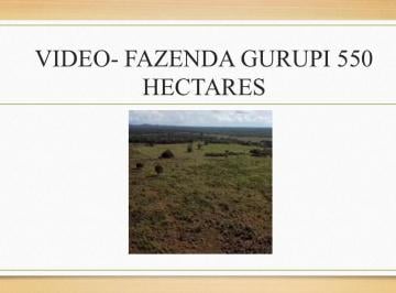 Rural , Gurupi · Oportunidade 550 hectares próximo de Gurupi-to 