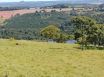 Foto 01 · Fazenda com 42 Alqueires, Agua, Não Tem Casa, Localização Nobre, Em Frente Ao Asfalto, Sitio Para Cr