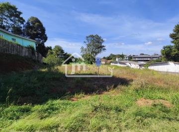 202511031345164545.jpg · Terreno para Venda em Campo Largo, Partênope