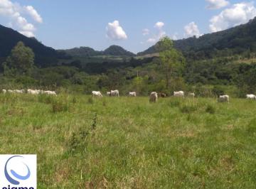 Foto 15 · Sítio à venda no Centro de Ribeirão Bonito-SP: 1 quarto, 1 suíte, 3 salas, 2 banheiros, 4 vagas de g