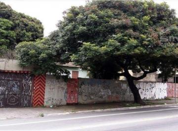 97def27636a647b958d10376e2bb68052569db3e · Terreno na Vila Nova Cachoeirinha