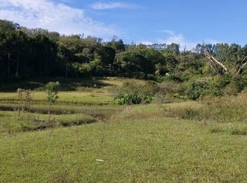 Rural , Taquara · Sitio com 8 Hectares em Taquara/RS na Localidade de Santa Cruz da Concórdia
