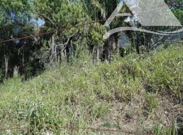 2021/05/145842523.jpg · Ótimo terreno Piúva Ilhabela,5400 m² p da balsa,topografia em declive para os fundos, vocação para