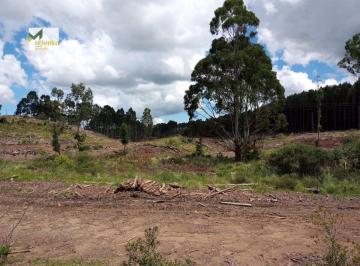 Comercial · 10000m² · Área Industrial para Venda em Várzea do Cedro São Francisco de Paula-RS