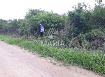 Terreno , Gravatá · Terreno de loteamento à venda em Gravatá/PE! CODIGO:5036