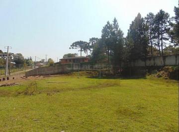 Terreno · Terreno à venda no bairro Rondinha - Campo Largo/PR