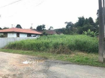 Terreno · Terreno Lote na Vila Solene em Campo Largo