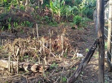 Terreno · 900m² · Terreno à venda no bairro Santa Rita do Bracuí - Angra dos Reis/RJ