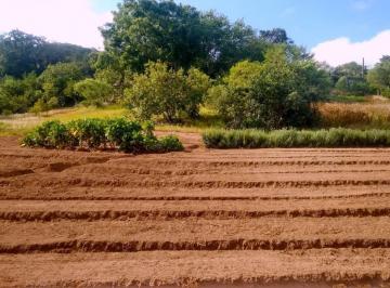 Terreno · 12336m² · ATENÇÃO LINDA ÁREA DE 12.335,90 M2 PLANA E PLANTADA ESTUDO CARRO E IMOVEL NO PAG