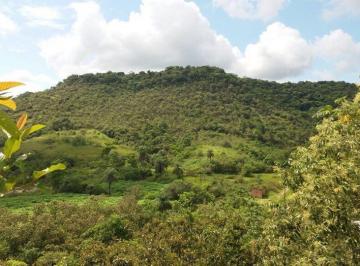 Rural , Guapimirim · Fazenda Urubus/Bairro Vale das Pedrinhas.