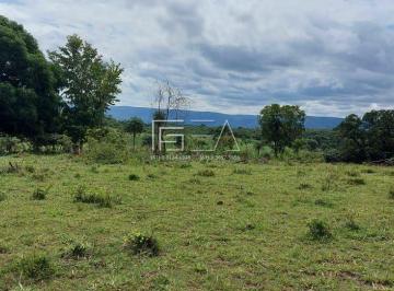 Rural · 3 Quartos · Oportunidade única: Fazenda pronta para a agropecuária dos seus sonhos!