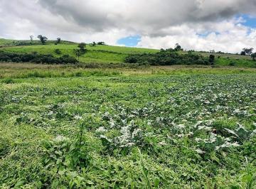 Terreno , Senador Amaral · Terreno a venda em Senador Amaral, MG