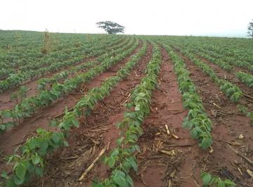 2021/06/147671688.jpg · RURAL - CENTRO