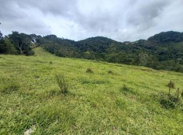Rural de 2 quartos, Senador Amaral · Sitio à venda em Senador Amaral – MG