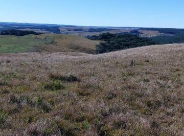 Rural , São Francisco de Paula · Sitio com 6 Hectares de terras a 2km do Centro de São Francisco de Paula/RS