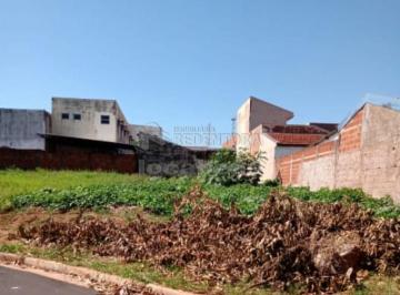 sao-jose-do-rio-preto-terreno-padrao-vila-angelica-14-06-2021_11-33-29-2.jpg · Terreno Padrão em São José do Rio Preto