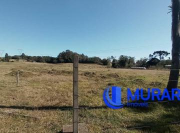 Terreno · 40000m² · terreno urbano para construção de pavilhão